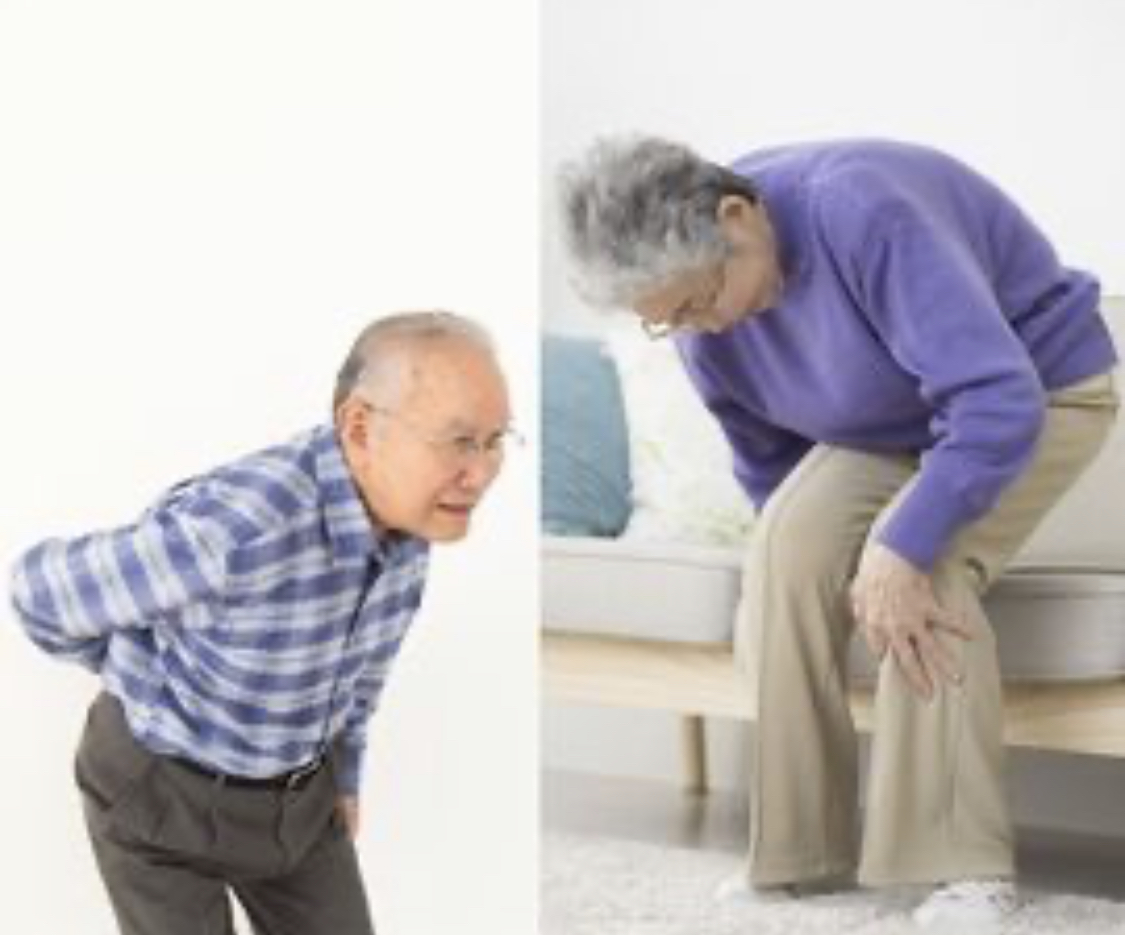 ひろの整体院　脊柱管狭窄症のイメージ